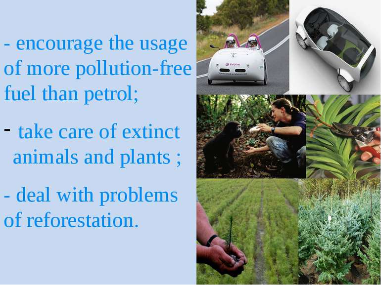 - encourage the usage of more pollution-free fuel than petrol; take care of e...