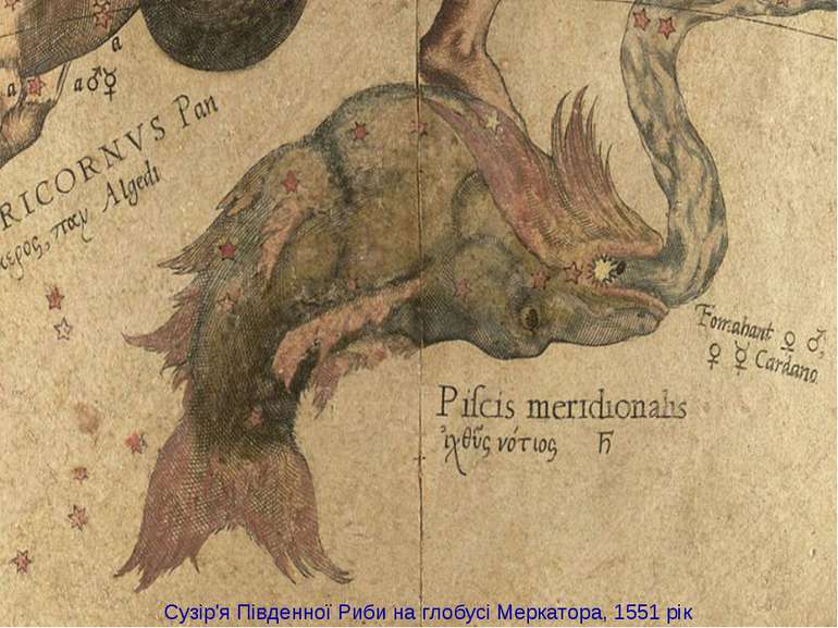 Сузір'я Південної Риби на глобусі Меркатора, 1551 рік