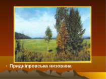 Придніпровська низовина