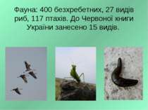 Фауна: 400 безхребетних, 27 видів риб, 117 птахів. До Червоної книги України ...