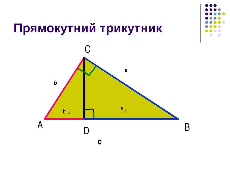Прямокутний трикутник А С В D b a c b C a C