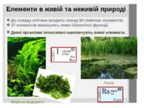 Елементи в живій та неживій природі До складу клітини входить понад 80 хімічн...