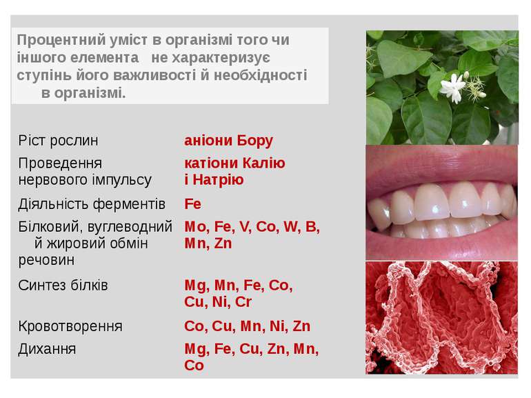 Процентний уміст в організмі того чи іншого елемента не характеризує ступінь ...