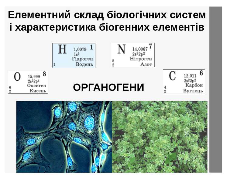 Елементний склад біологічних систем і характеристика біогенних елементів ОРГА...