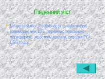 Південний міст Південний міст (Southbridge) — забезпечує взаємодію між ЦП і п...