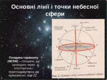 Основні лінії і точки небесної сфери Площина горизонту (NESW) – площина, що п...