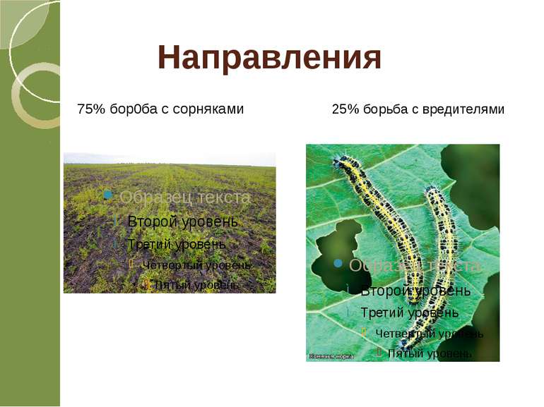 75% бор0ба с сорняками 25% борьба с вредителями Направления