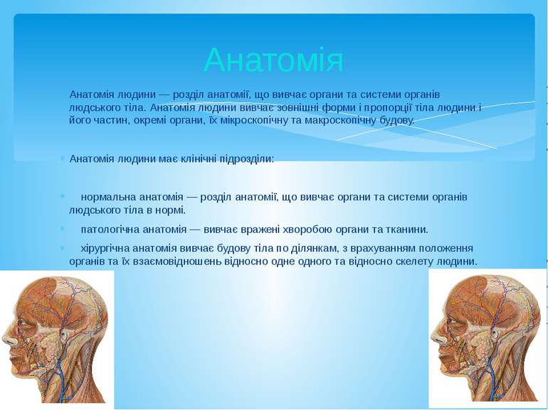 Анатомія людини — розділ анатомії, що вивчає органи та системи органів людськ...