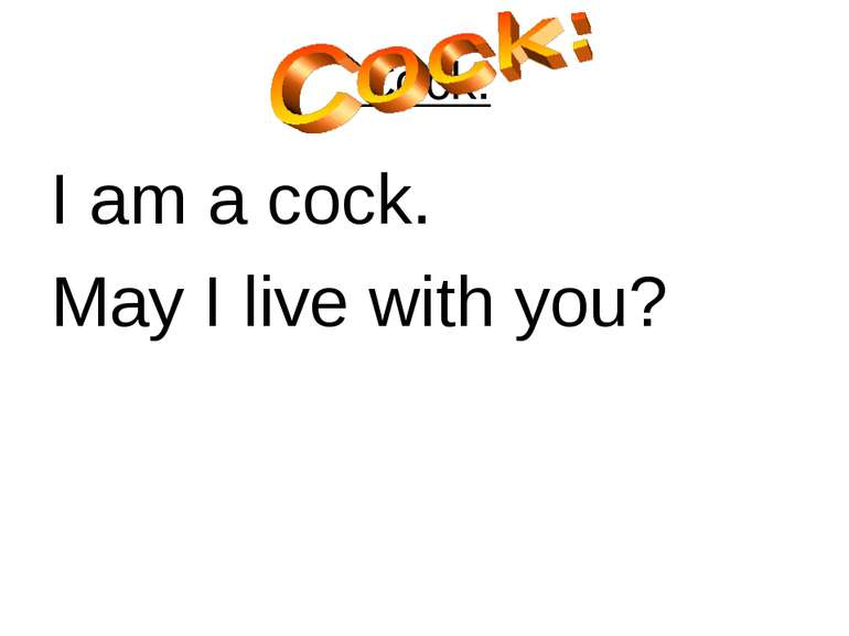 Cock: I am a cock. May I live with you?