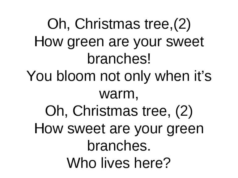 Oh, Christmas tree,(2) How green are your sweet branches! You bloom not only ...