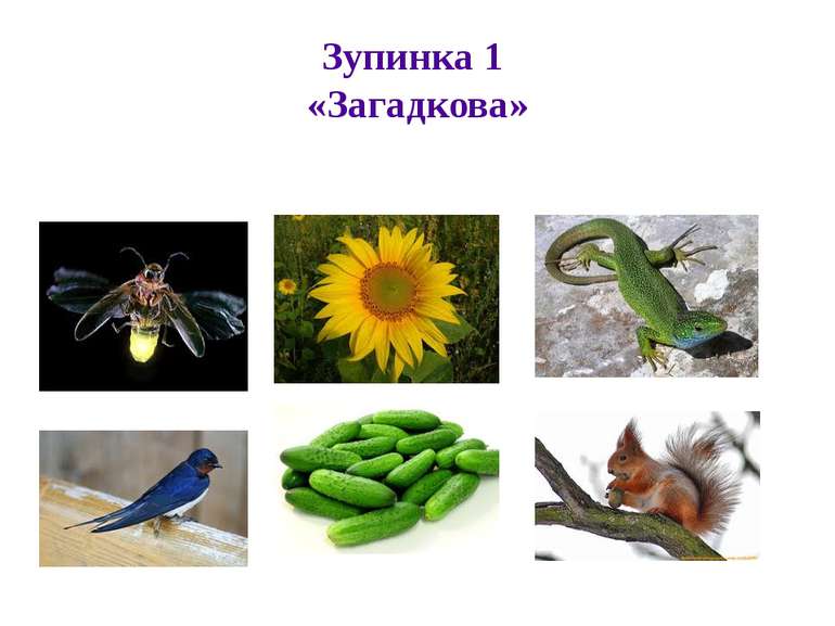 Зупинка 1 «Загадкова»