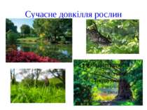 Попрацюємо в зошиті с. Подивіться кліп “Рослини Червоної книги України”