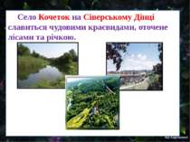 Село Кочеток на Сіверському Дінці славиться чудовими краєвидами, оточене ліса...