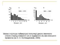 Вікова структура таймирської популяції дикого північного оленя в період помір...