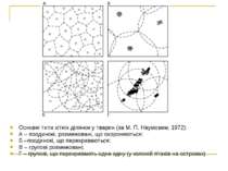 Основні типи хітніх ділянок у тварин (за М. П. Наумовим, 1972): А – поодинокі...