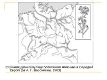 Cтрічкоподібні популяції болотяного молочаю в Середній Європі (за А. Г. Ворон...