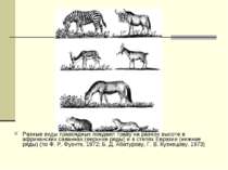 Разные виды травоядных поедают траву на разной высоте в африканских саваннах ...