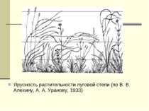 Ярусность растительности луговой степи (по В. В. Алехину, А. А. Уранову, 1933)