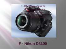 F - Nikon D3100