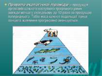 Правило екологічної піраміди − продукція організмів кожного наступного трофіч...