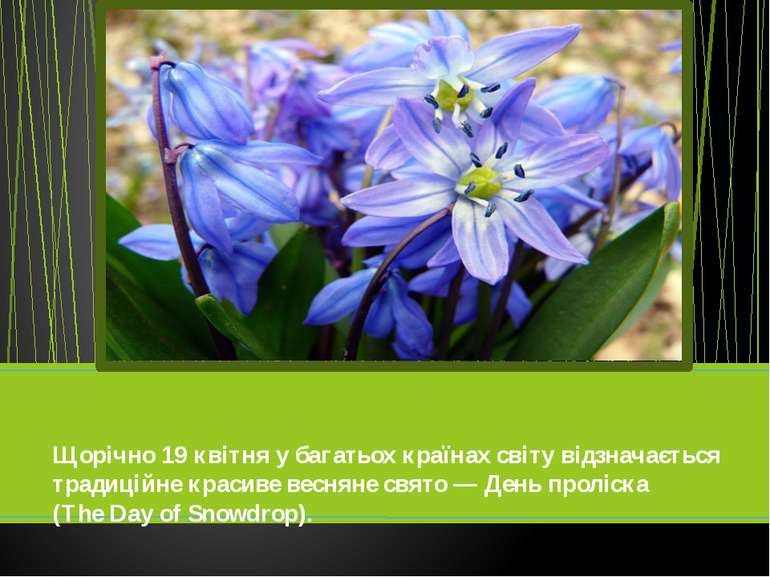Щорічно 19 квітня у багатьох країнах світу відзначається традиційне красиве в...
