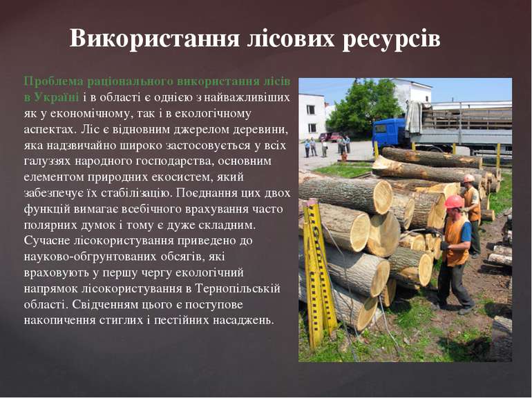 Використання лісових ресурсів Проблема раціонального використання лісів в Укр...