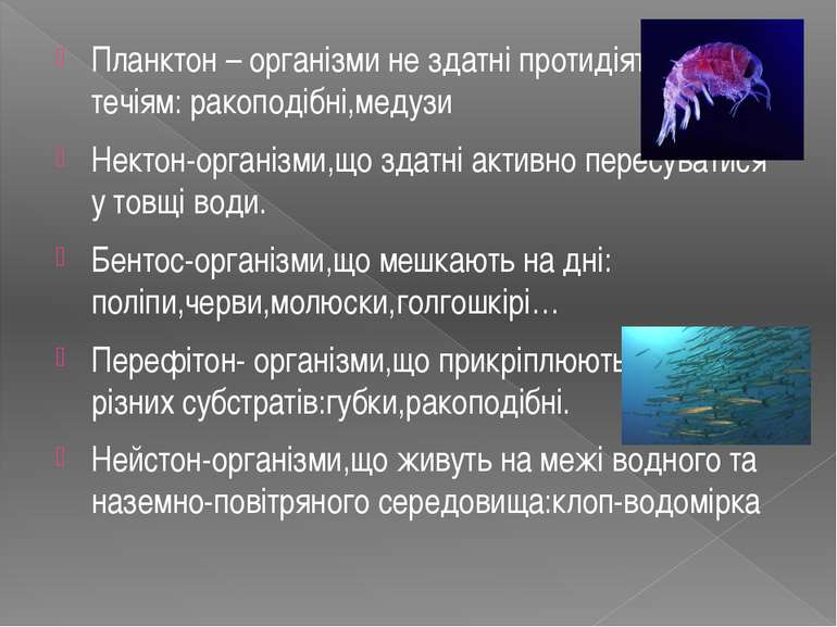 Планктон – організми не здатні протидіяти водним течіям: ракоподібні,медузи Н...