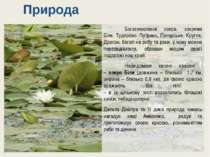 Багаточисленні озера, зокрема Біле, Тудорово, Путрино, Писарське, Кругле, Дра...