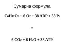 Сумарна формула C6H12O6 + 6 O2 + 38 ADP + 38 Pi = 6 CO2 + 6 H2O + 38 ATP