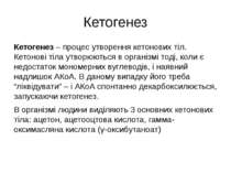 Кетогенез Кетогенез – процес утворення кетонових тіл. Кетонові тіла утворюють...