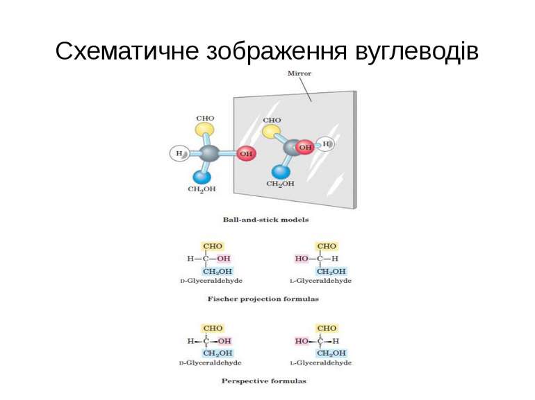 Схематичне зображення вуглеводів