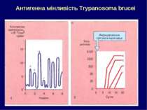 Антигенна мінливість Trypanosoma brucei