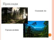 Приклади Сосновий ліс Гірська долина