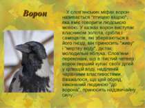 Ворон У слов'янських міфах ворон називається "птицею віщою", яка вміє говорит...