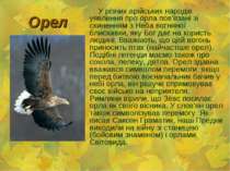 Орел У різних арійських народів уявлення про орла пов'язані зі скиненням з Не...