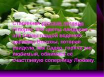 Старинная русская легенда говорит, что цветы ландыша — это слёзы гордой водян...