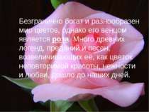 Безгранично богат и разнообразен мир цветов, однако его венцом является роза....