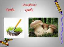 Греби - гриби Омофони: Громова Н.М. Громова Н.М.