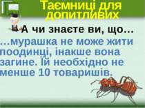 Таємниці для допитливих …мурашка не може жити поодинці, інакше вона загине. Ї...