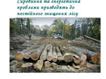 Сировинна та енергетична проблеми призводять до постійного знищення лісу