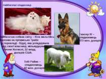 Могильська О. В. Цікаве з життя собак і котів, 2014 р. Найбагатші спадкоємці-...