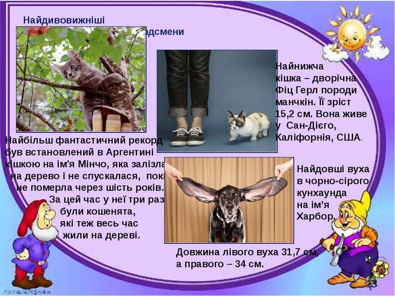 Найдивовижніші рекордсмени Могильська О. В. Цікаве з життя собак і котів, 201...