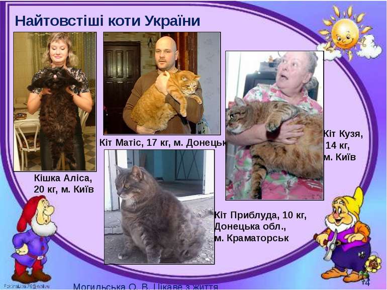 Найтовстіші коти України Кіт Матіс, 17 кг, м. Донецьк Кішка Аліса, 20 кг, м. ...