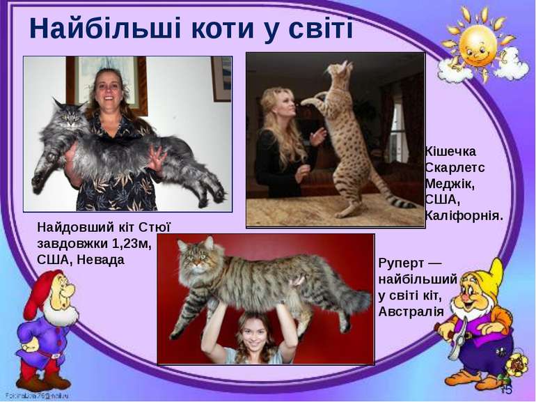 Найбільші коти у світі Могильська О. В. Цікаве з життя собак і котів, 2014 р....