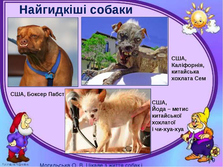 Найгидкіші собаки Могильська О. В. Цікаве з життя собак і котів, 2014 р. США,...