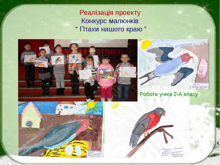 Реалізація проекту Конкурс малюнків “ Птахи нашого краю ” Роботи учнів 2-А класу
