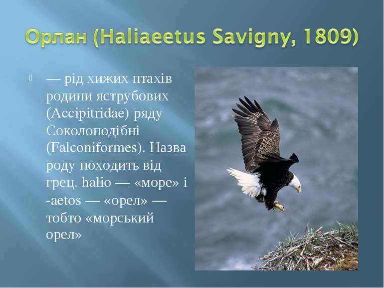 — рід хижих птахів родини яструбових (Accipitridae) ряду Соколоподібні (Falco...