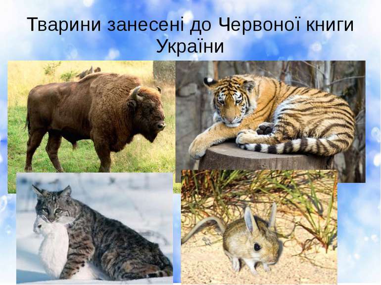 Тварини занесені до Червоної книги України