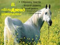 В.Дрозд "Білий кінь Шептало"
