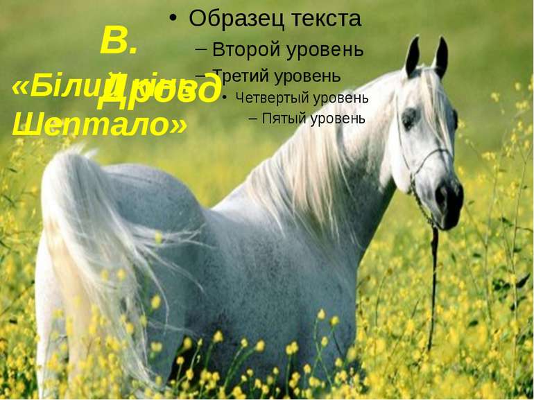 В. Дрозд «Білий кінь Шептало»